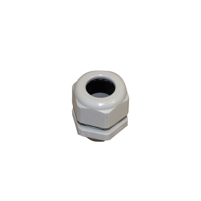 RESP002520